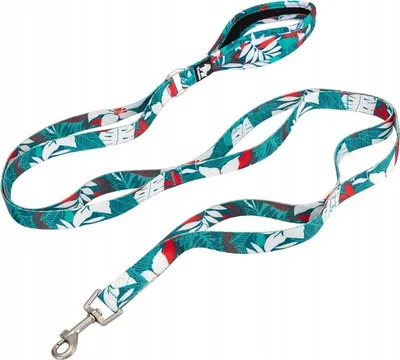 Image de BUNTE TRUELOVE Tropical L City Hundeleine