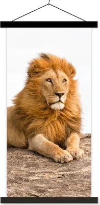 Produktbild von MuchoWow® Textilposter Löwe - Mähne - Tier 40x80 cm mit schwarzem Rahmen - Wandemalerei