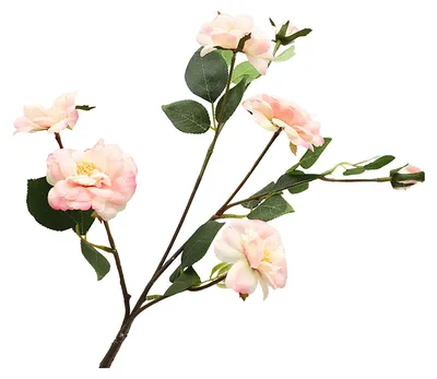 Produktbild von Künstlicher Kamelienzweig mit 4 Stielen und 6 Blütenköpfen aus Seide, ideal für Vase, Hochzeit, Büro oder als Dekoration für Zuhause.