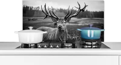 Produktbild von KitchenYeah®  Spritzschutz Küche - Küchenrückwand - Wandschutz für Herd und Spüle - Tiere - Hirsch - Geweih - Schwarz und weiß - Natur 90x45 - Alu-Dibond (Alternative zum Spritzschutz aus Glas) - Hitz