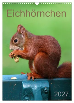 Produktbild von Eichhörnchen (Wandkalender 2027 DIN A3 hoch), CALVENDO Monatskalender