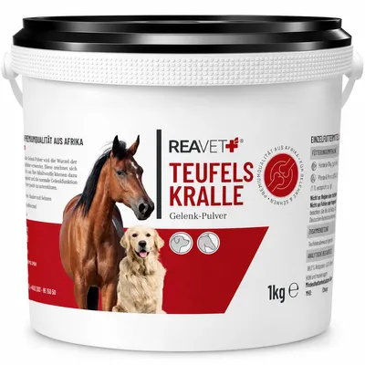 Produktbild von REAVET Afrikanische Teufelskralle Pferd 1kg – Naturrein in  – unterstützt Beweglichkeit + Gelenkfunktion I Teufelskrallen Pulver Gelenkpulver Ohne Zusätze