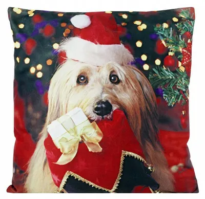 Produktbild von Eurofirany Jingle Weihnachtskissenbezug Dekorativ 40x40 cm