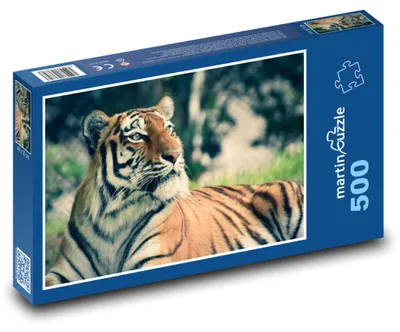 Obrázek produktu pro martinpuzzle - Puzzle 500 - Tygr usurijský