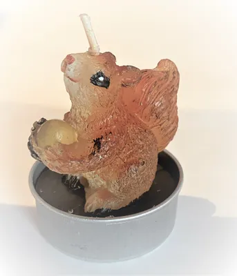 Produktbild von 6 x Teelichter, Eichhörnchen, Höhe ca. 5 cm