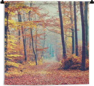 Produktbild von MuchoWow® Wandteppich Wandbehang Wald - Herbst - Laub 90x90 cm Tapisserie Dekoration Wandtuch - Wandaufhänger