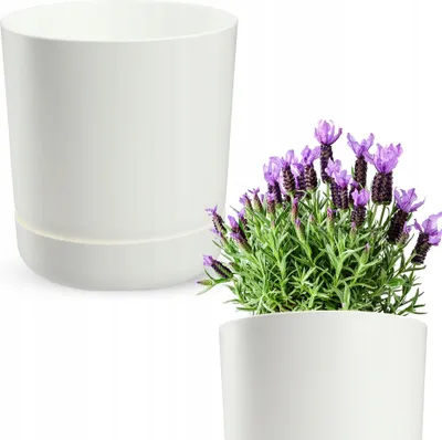 Produktbild von Satina 25 Runder Blumentopf mit Untersetzer | Weiß