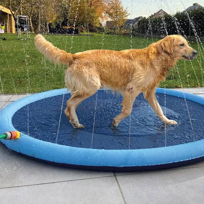 Produktbild von Duvo+ Wasserspielmatte Splash blau