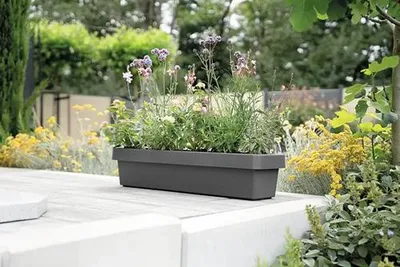Produktbild von Blumenkasten geli VIVA Kunststoff 80 x 21,2 x 17,1 cm anthrazit inkl. Erdbewässerungsystem