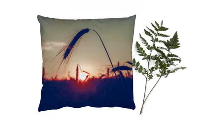 Produktbild von MuchoWow® Zierkissen Sofakissen Wohnzimmer Dekokissen 50x50 cm Gras - Herbst - Sonnenuntergang - Jahreszeiten - Landschaft - Komfort - Sofakissen