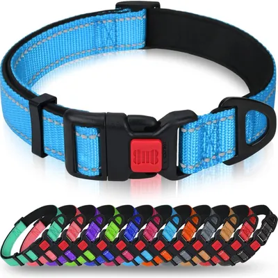 Zdjęcie produktu dla Obroża dla psa, neopren i nylon, regulowana, odblaskowa, kolor niebieski, rozmiar S (25-40 cm)