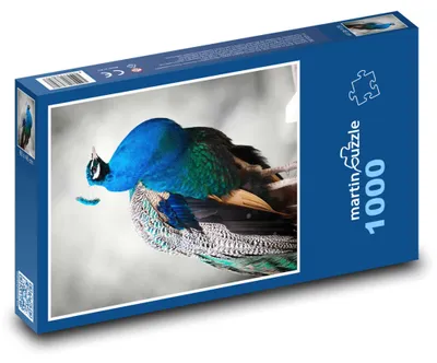 Zdjęcie produktu dla martinpuzzle - Puzzle 1000 elementów - Páv