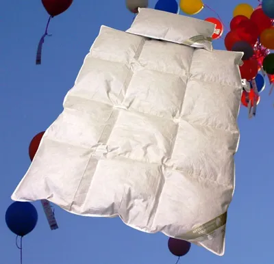 Produktbild von Ganzjahres Set Kinder Baby Daunenbett 100x135 cm Daunendecke + Kissen 40x60 100% Daunen