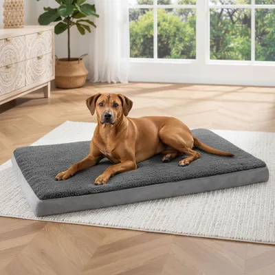 Produktbild von belviona Hundematratze, weiche & stabile Liegematte mit waschbarem Bezug, 112x81x8 cm, anthrazit