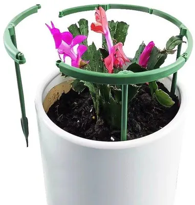 Obrázok produktu pre 12 ks opôr pre rastliny – plastové kvetináče – malé oporné krúžky – 25 x 25 cm – pre izbové a vonkajšie rastliny