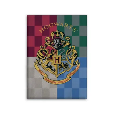 Zdjęcie produktu dla Koc Harry Potter Puszysty koc polarowy 140 cm x 100 cm