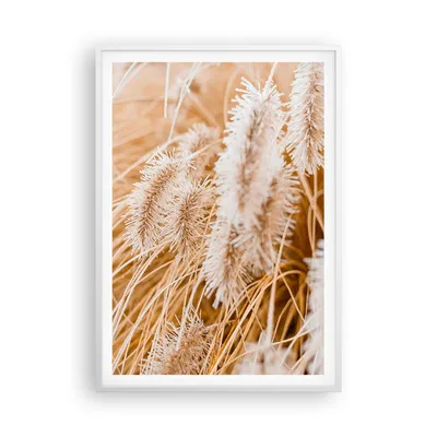 Produktbild von Gerahmtes Poster - Weißer Rahmen - Gras Boho Licht - 70x100 cm - Wand Bild - Wanddeko - Wandbilder - Kunstposter - Wandposter - Bilderrahmen - Bilder - Kunstdruck - Wanddekoration - P2WPA70x100-4903