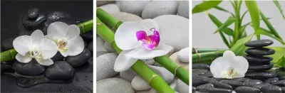 Produktbild von Wandbild 3er Set je 30x30cm Aluminium Dibond Orchideen Bambus Steine Deko