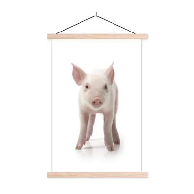 Produktbild von MuchoWow® Textilposter Schwein - Tiere - Weiß 60x90 cm mit holzfarbenen Rahmen - Textil