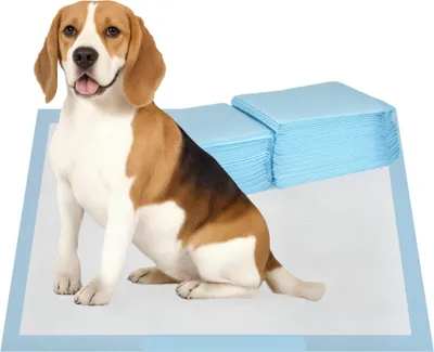 Produktbild von PawHut Hundetrainingspads, 80er-Packung, wasserdicht, 6-lagig mit schnelltrocknender Oberfläche, schützend, 60 x 60 cm