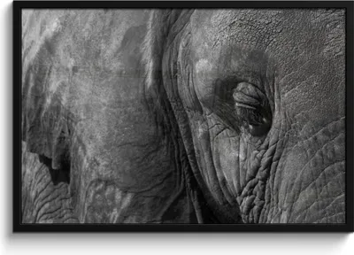 Produktbild von MuchoWow® MuchoWow® Gerahmtes Poster Elefant - Tiere - Nahaufnahme - Schwarz-Weiß 90x60 cm - Poster mit zchwarzem Bilderrahmen - Fotorahmen - Foto-Plakat