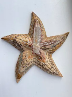 Image de Onyx Étoile de mer