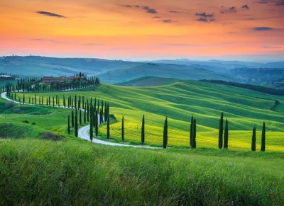Produktbild von Bunte Fototapete mit Landschaft | Mediterrane Fototapete mit Toskana in Sonnenuntergang | Romantische Italienische Tapet