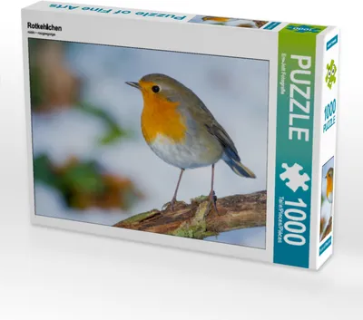Produktbild von CALVENDO Puzzle Rotkehlchen 1000 Teile Puzzle quer | 1000 Teile Lege-Größe 64x48cm Foto-Puzzle für glückliche Stunden