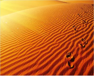 Produktbild von Wallario Poster - Fußspuren im Sand - Sanddüne in der Wüste, Kunstdruck Größe: 40 x 50 cm