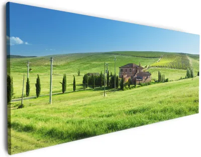 Produktbild von Wallario Premium Leinwandbild Farm in der Toskana in Größe 60 x 150 cm