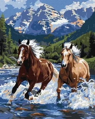 Immagine prodotto di Quadri da colorare per numero - "Forza in movimento" - 40x50 cm - Ideyka