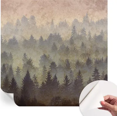 Produktbild von Selbstklebende Wandtapete - Dekorative Tapete für Wohnzimmer - Klebefolie für Wandbilder - Tapetenfolie für Wanddekoration - 250x250 cm - Waldnebel