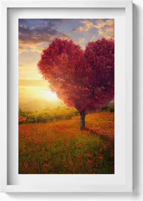 Produktbild von Liebesbaum in Form eines Herzens– Wandbild mit Rahmen – Gerahmtes Bild  – Wanddekoration – 40x60 cm – Weiß