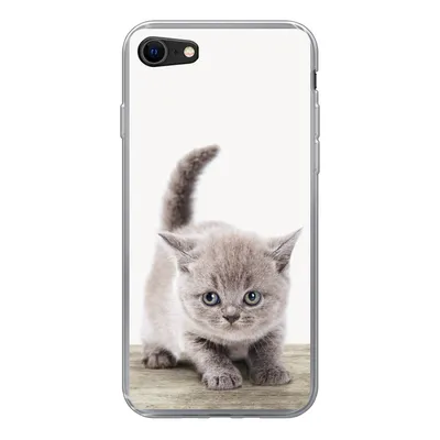 Produktbild von MuchoWow® Handyhülle Schutzhülle Hülle für iPhone 7 Kätzchen - Katze - Haustiere - Jungen - Kinder - Mädchen Silikon Softcase Handy Hülle - Kartenhalter