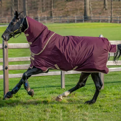 Zdjęcie produktu dla Horseware Amigo Hero 600D Ripstop Plus Lite 0g Turnout Blanket wodoodporny Fig/Navy&Tan HW 20, Rozmiar: 5'6