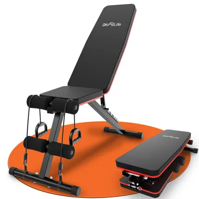 Produktbild von DH FitLife Klappbare 8 in 1 Hantelbank, 80% Platzsparend, Verstellbare Fitnessbank & Schrägbank, Bauchmuskeltrainer für Ganzkörpertraining Zuhause