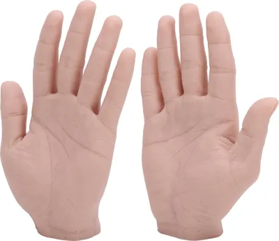 Obrázok produktu pre 1 pár Realistický silikónový mužský model ruky Mäkká flexibilná opakovane použiteľná mužská figurína Model ruky pre zobrazenie šperkov Maľovanie praxe