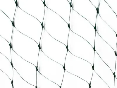 Obrázok produktu pre Ochranná sieť Planta 2x20 m – proti vtákom a holubom, zelená