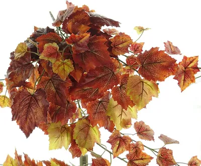 Produktbild von Kunstblumen Laubranke in Herbstfarben 60 cm
