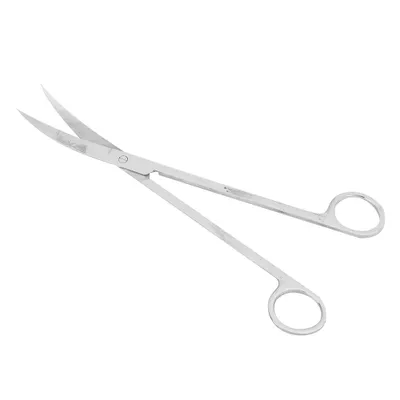 Image de Ciseaux pour plantes aquatiques,Ciseaux pour plantes aquatiques,Ciseaux en acier inoxydable,Ciseaux pour aquarium,Ciseaux pour plantes aquatiques,Outils de nettoyage pour plantes aquatiques