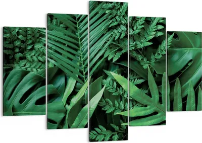 Produktbild von Bild auf Leinwand - Leinwandbild - 5 Teile - Exotisch Blätter Monstera - 150x100cm - Wand Bild - Wanddeko - Wandbilder - Leinwanddruck - Bilder - Wanddekoration - Leinwand bilder - EA150x100-4746