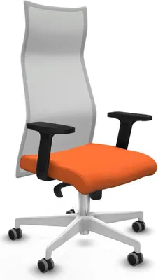 Image de Bürostuhl Piqueras y Crespo B2D026G Orange