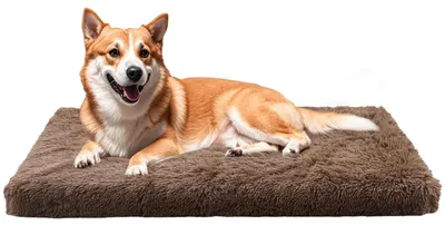Immagine prodotto di Cuccia per cani - 100 x 60 x 10 cm - Imbottitura in schiuma viscoelastica - Tessuto morbido - Uso interno
