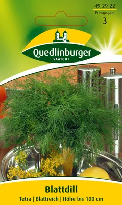 Produktbild von Dill 'Mammut' Quedlinburger Kräutersamen