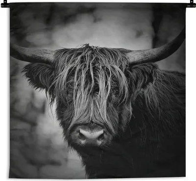 Produktbild von MuchoWow® Wandteppich Wandbehang Schottischer Hochländer - Licht - Porträt - Natur 120x120 cm Tapisserie Dekoration Wandtuch - Modern - Baumwollgewebe