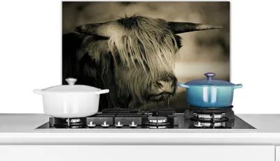 Produktbild von KitchenYeah®  Spritzschutz Küche - Küchenrückwand - Wandschutz für Herd und Spüle - Schottisches Hochlandrind - Tiere - Haare 60x40 - Alu-Dibond (Alternative zum Spritzschutz aus Glas) - Hitzebeständi