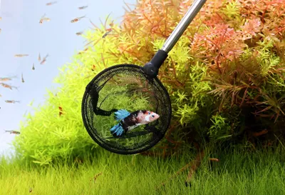 Productafbeelding van Telescopische schepnetten voor aquaria - Extra donker net