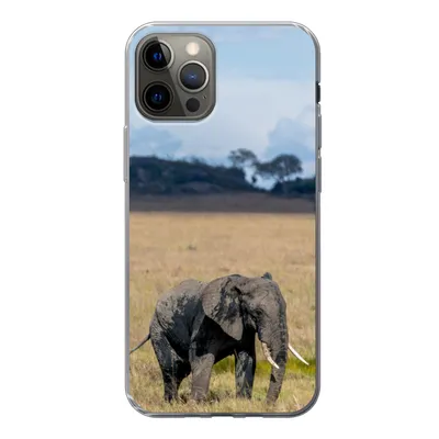 Produktbild von MuchoWow® Handyhülle Schutzhülle Hülle für iPhone 12 Pro Elefant - Gras - Tiere - Natur Silikon Softcase Handy Hülle - Abdeckung
