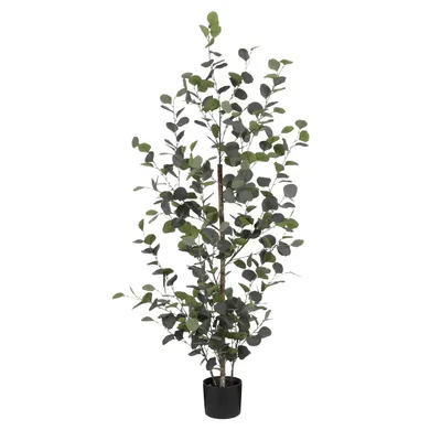 Produktbild von Mica Kunstpflanze Eucalyptus grün 150 cm