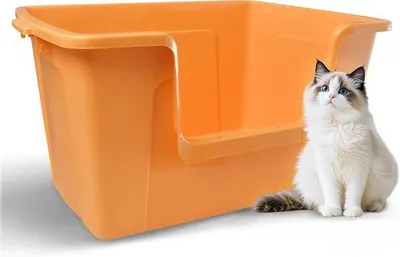 Produktbild von Famanu Katzenklo mit Hohem Rand für Katzen bis 10 kg - Einfach zu Reinigen und Geräumig